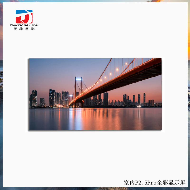P2.5 Pro